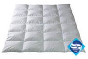 Пуховое одеяло Dor® Sanitized®, зимнее QQQ
